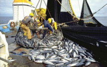 Calendrier républicain: Les travailleurs de la pêche réclament leur journée