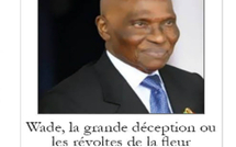 « Wade, la grande déception…», livre  de Dame Diop préfacé par Adama Gaye (journaliste-chroniqueur), 314 pages