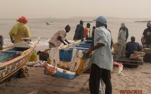 VIDEO : Les pêcheurs, oubliés de la campagne présidentielle