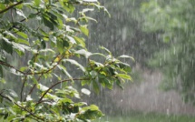 (Vidéo) Ziguinchor - Une fine pluie s'abat sur la ville... Regardez !