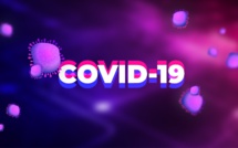 VIDEO  - JOURNAL CORONAVIRUS SUR LERAL TV ce 19 mars 2020 