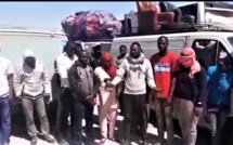 VIDEO - Les Sénégalais bloqués à la frontière avec la Mauritanie depuis 20 jours, parlent: "Fébarougn dagn donn liggéy.."