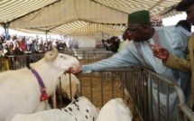 Tabaski 2020 célébrée dans la communion au Sénégal: la Commission nationale et la Coordination des musulmans retiennent le 31 juillet