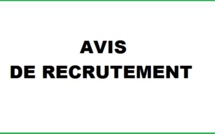 Avis de recrutement :