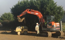 Le Plan Sénégal Emergent Vert en promotion: Pourtant des bulldozers rasent des arbres