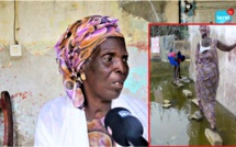 Émouvant ! Elle vit sous les eaux depuis 15 ans: Mère Fatou KANE se confie à LERAL