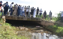 Le ministre Aly Ngouille Ndiaye en tournée dans les zones inondées : les images d’une visite de travail