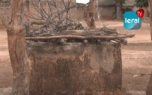 Medina Kalamine Tourè: les populations réclament de l'eau, de l’électricité, un poste de santé et une école 