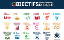 Objectifs de développement durable: De nombreux défis appelés à être relevés par les pays en développement (ENDA)