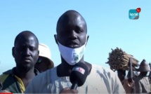 Au cœur des champs de Cheikh Mbacké Saliou à Ndiéné Lagane : La foi et la passion comme leitmotiv