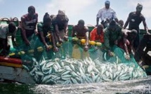 Rufisque: Sa marche interdite, l’Unapas étale sa colère au quai de pêche