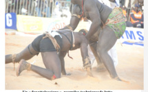 Lambi demb - Les Techniques de lutte: quand le wer ndombo, galgal, sukerbi, teq, xarjipel...rivalisent d'efficacité