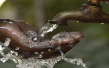 Danger signalé à Thiaroye-Sur-Mer: Dans de nombreux quartiers, l'eau des robinets dégage une odeur d'essence