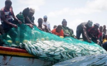 Projets d’envergure et de réforme du secteur de la pêche: Cinq actes majeurs sous le régime de Macky