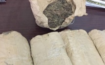 Trafic de drogue : la Douane de Kaolack et Joal intercepte  550 kg de chanvre indien