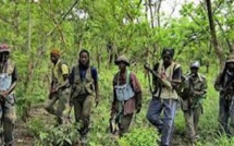 Retour définitif de la paix en Casamance : Le MFDC  pour l'unité, le pardon et la réconciliation