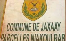 Constat accablant d’un cadre de l’APR: Une gestion calamiteuse de la Commune de Jaxaay