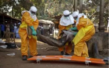 Appui pour la prévention de l’épidémie d’Ebola: L’USAID accorde 220 millions FCfa au Sénégal