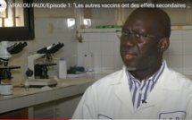 Vrai ou Faux / Pr. Tandakha Ndiaye Dièye: “Les autres vaccins ont des effets secondaires comme AstraZeneca”