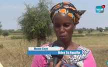 Grand reportage / Précarité dans le monde rural: Boustane Lô n'est pas une exception