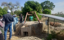 Activités maraîchères : Le village de Dassilamé Sérére de Toubacouta, doté d’infrastructures et d’équipements modernes