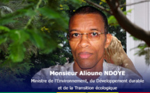 Environnement : Le manque d’arbres dans la capitale étouffe Dakar, selon le ministre Alioune Ndoye