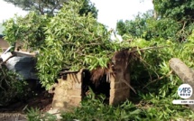 Sédhiou : une forte pluie fait des dégâts à Diendé, une cinquantaine de maisons endommagées