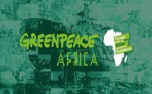 Utilisation des combustibles fossiles : Greenpeace Afrique s’active à Dakar et Ziguinchor et dit stop