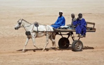 Saliou MBAYE- Birima Birima