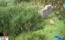 Cimetière de Diamaguène Sicap Mbao sous les eaux : Les populations riveraines laissent éclater leur colère