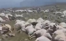 Feu de brousse dans la commune de Mbolo Birane : 160 moutons tués à Bilé Galoya