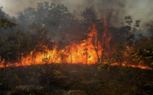 Tambacounda : Plusieurs foyers de feux de brousse signalés dans la région