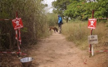 Une voiture militaire saute sur une mine en Casamance : Quatre soldats décédés !