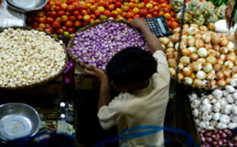 Vision économique de la Coalition Diomaye Faye : En route vers un secteur primaire garant d’une sécurité alimentaire et générateur de devises