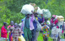 Casamance / Retour des populations déplacées dans les villages sécurisés par l’armée : Un processus timide dans l’arrondissement de Niassya