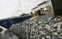 Vers une pêche transparente et durable : Le Ministère des Pêches affiche les chiffres de la DPSP