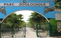 Parc zoologique de Hann : Entre dénégation ministérielle et réalité alarmante (Les Chroniques citoyennes d’Adama Diop)