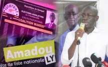 Législatives du 17 novembre : Amadou Ly et sa coalition Wareef en campagne au Fouta