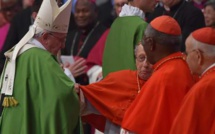 Un cardinal nonagénaire se fracture le fémur en saluant le pape