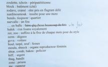 Une ado a tweeté le meilleur dictionnaire de la langue secrète des jeunes