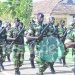 Genie militaire (29)